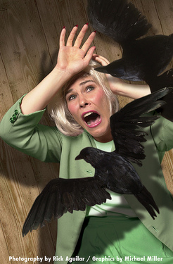 Illustration for article titled Terror From The Sky At Fenway Park